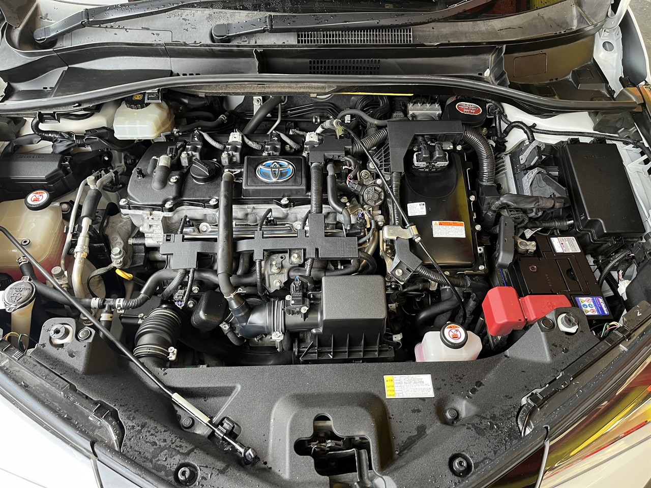 2017 Toyota C-Hr