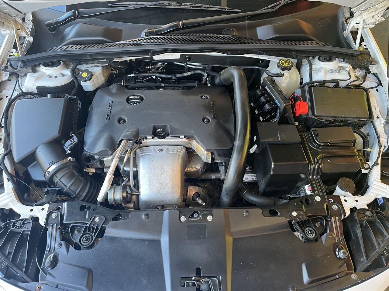 2019 Holden Commodore