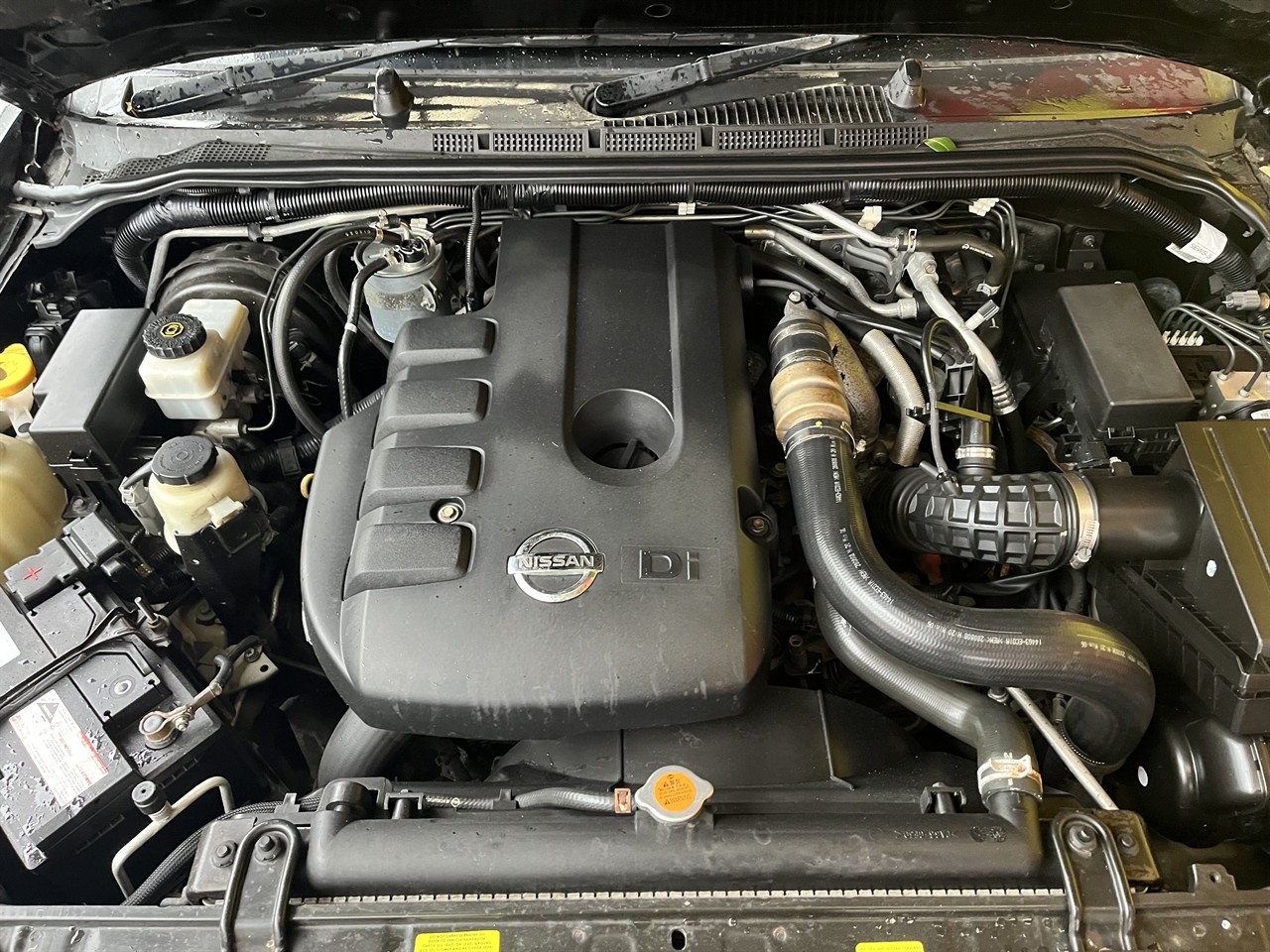 2009 Nissan Navara