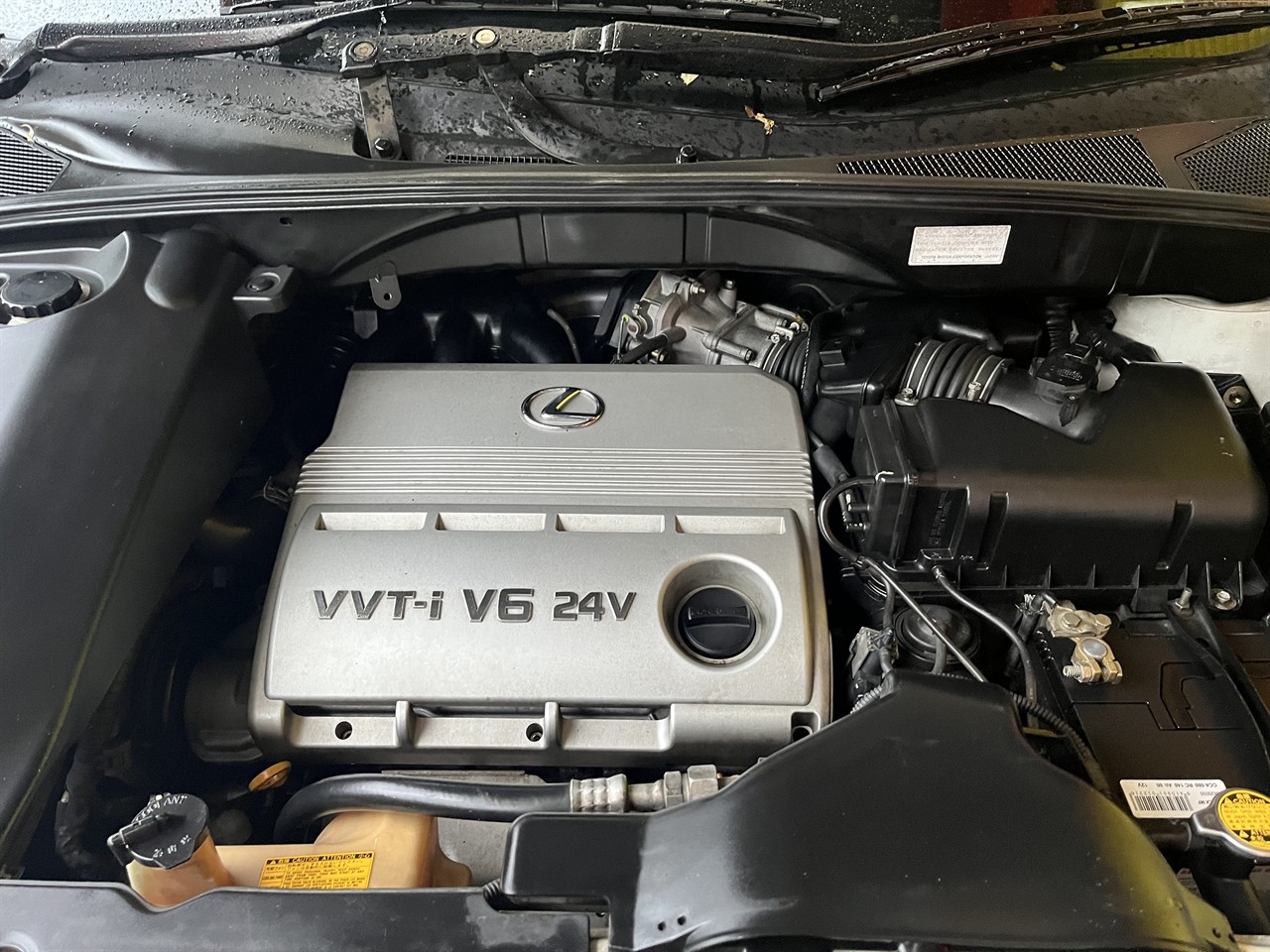 2005 Toyota LEXUS