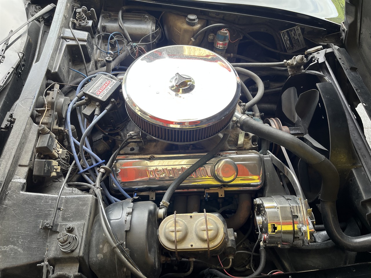1981 Chevrolet Corvette