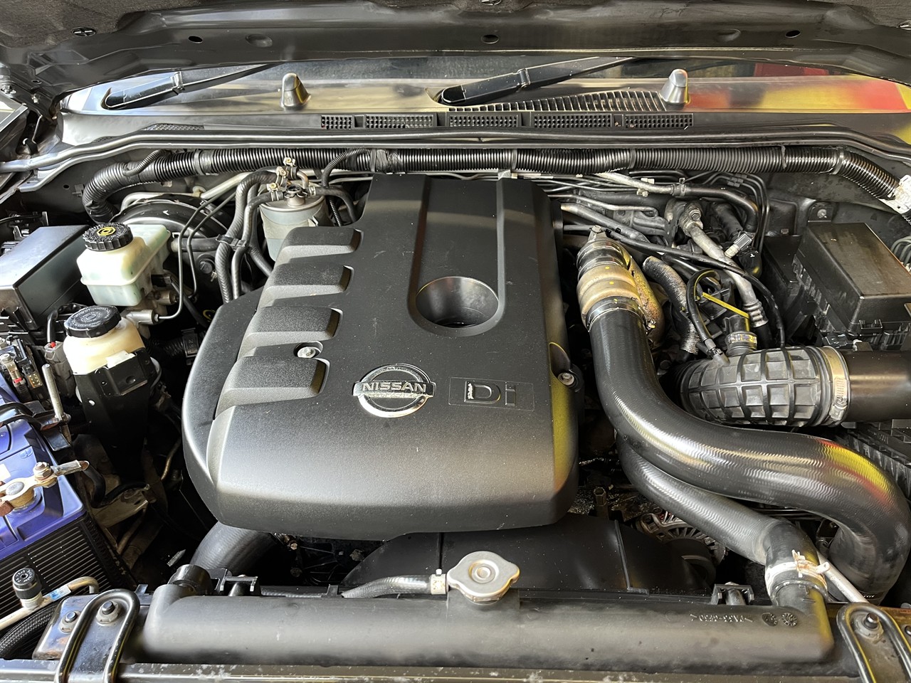 2008 Nissan Navara