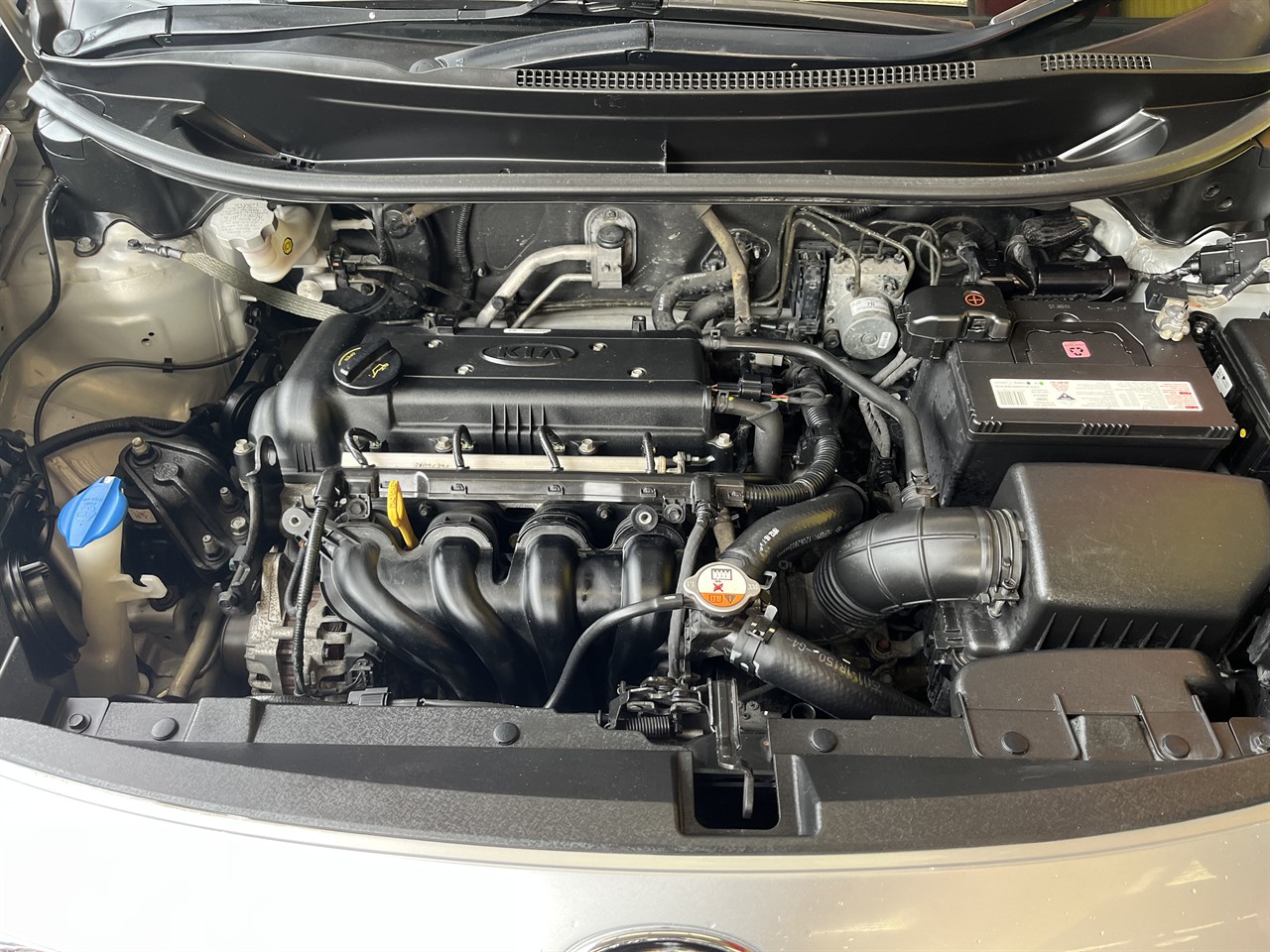 2012 Kia Rio