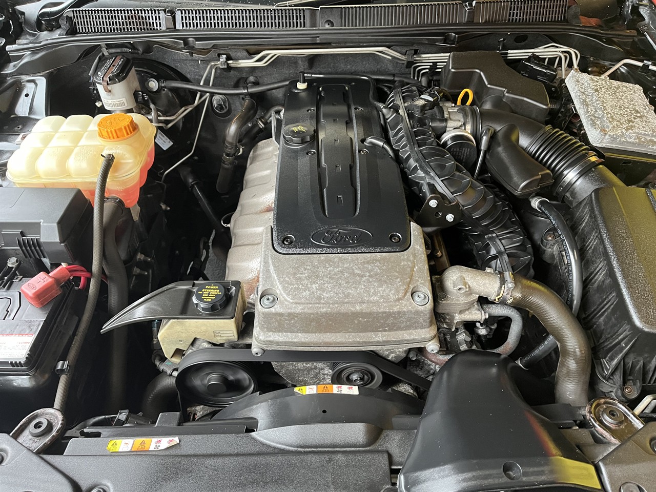 2010 Ford Falcon
