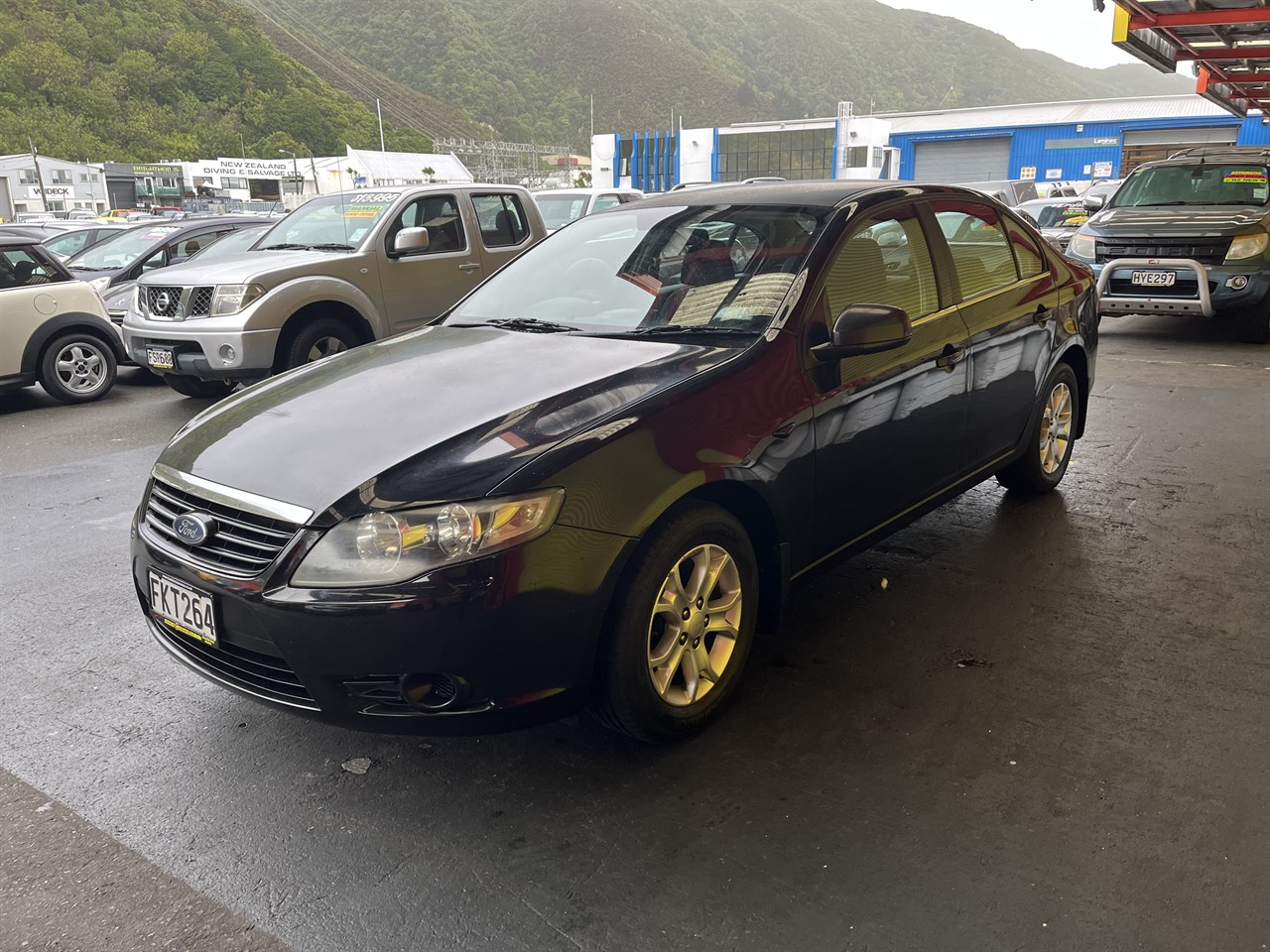 2010 Ford Falcon