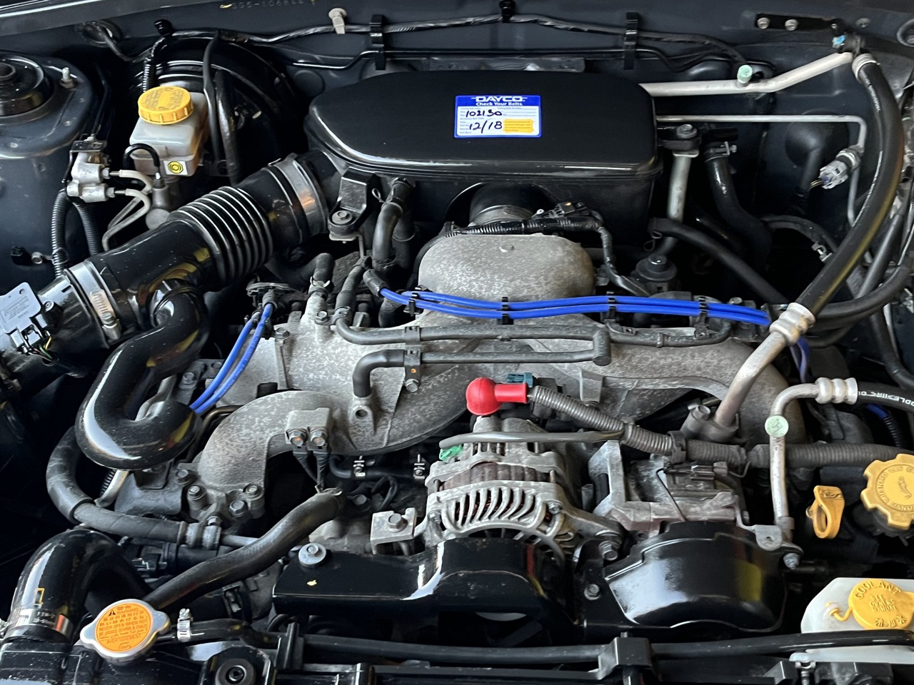 2006 Subaru Forester