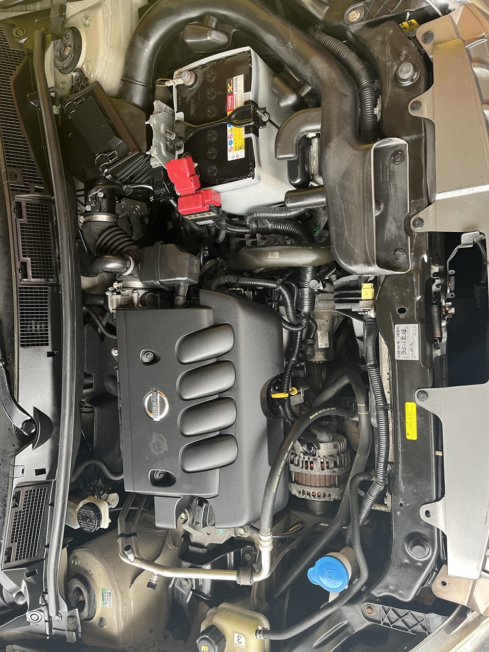 2008 Nissan Dualis