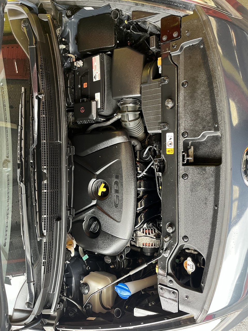 2014 Kia Carens